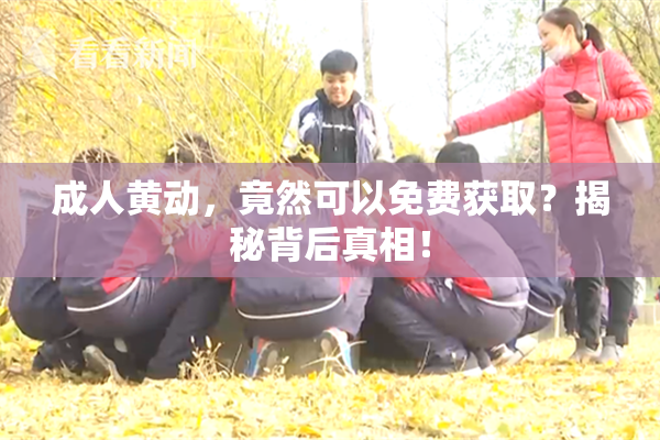 成人黄动，竟然可以免费获取？揭秘背后真相！