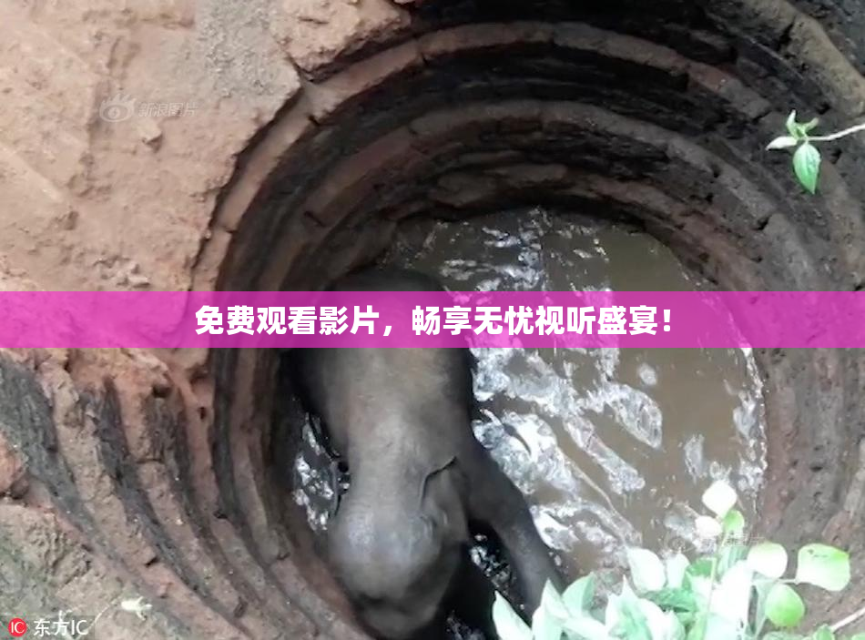 免费观看影片，畅享无忧视听盛宴！