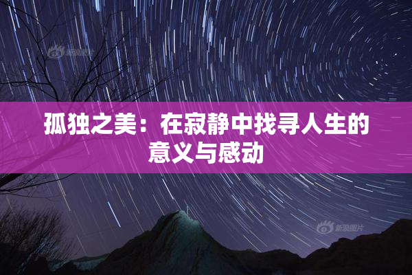 孤独之美：在寂静中找寻人生的意义与感动