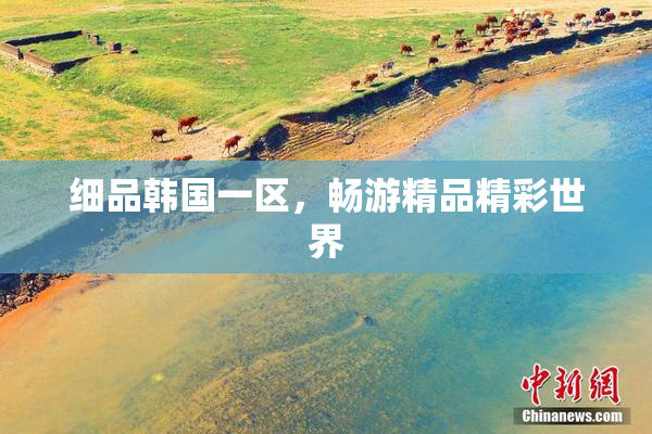 细品韩国一区，畅游精品精彩世界