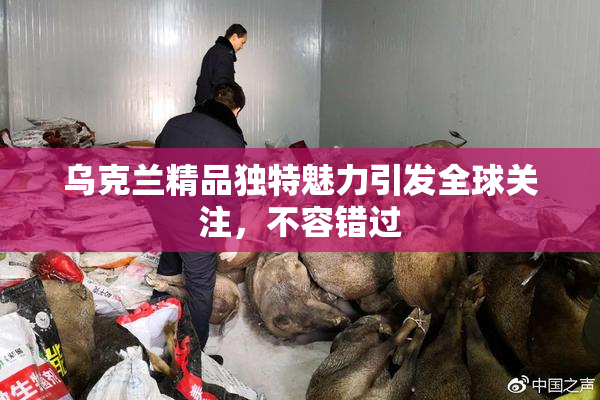 乌克兰精品独特魅力引发全球关注，不容错过
