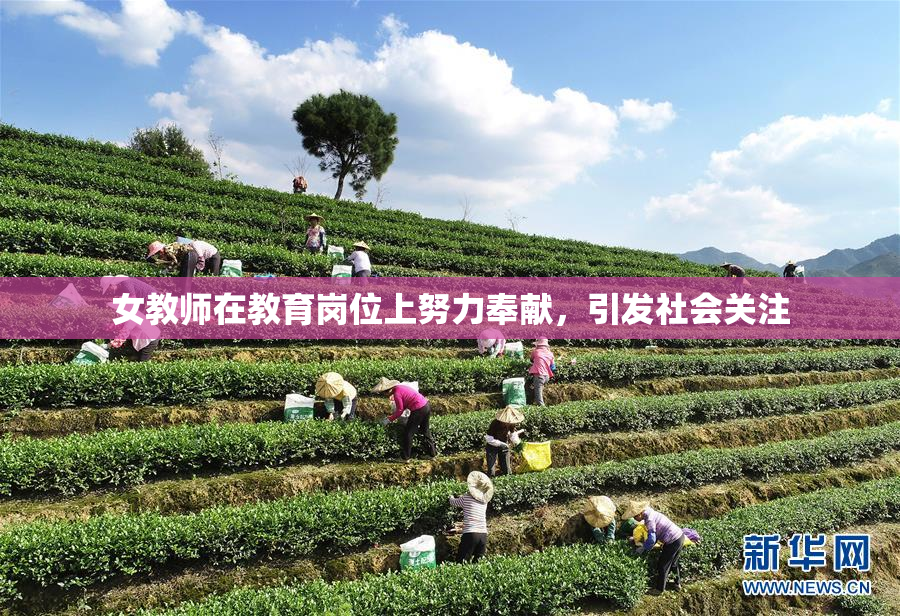 女教师在教育岗位上努力奉献，引发社会关注