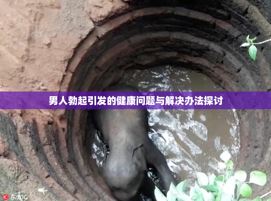 男人勃起引发的健康问题与解决办法探讨