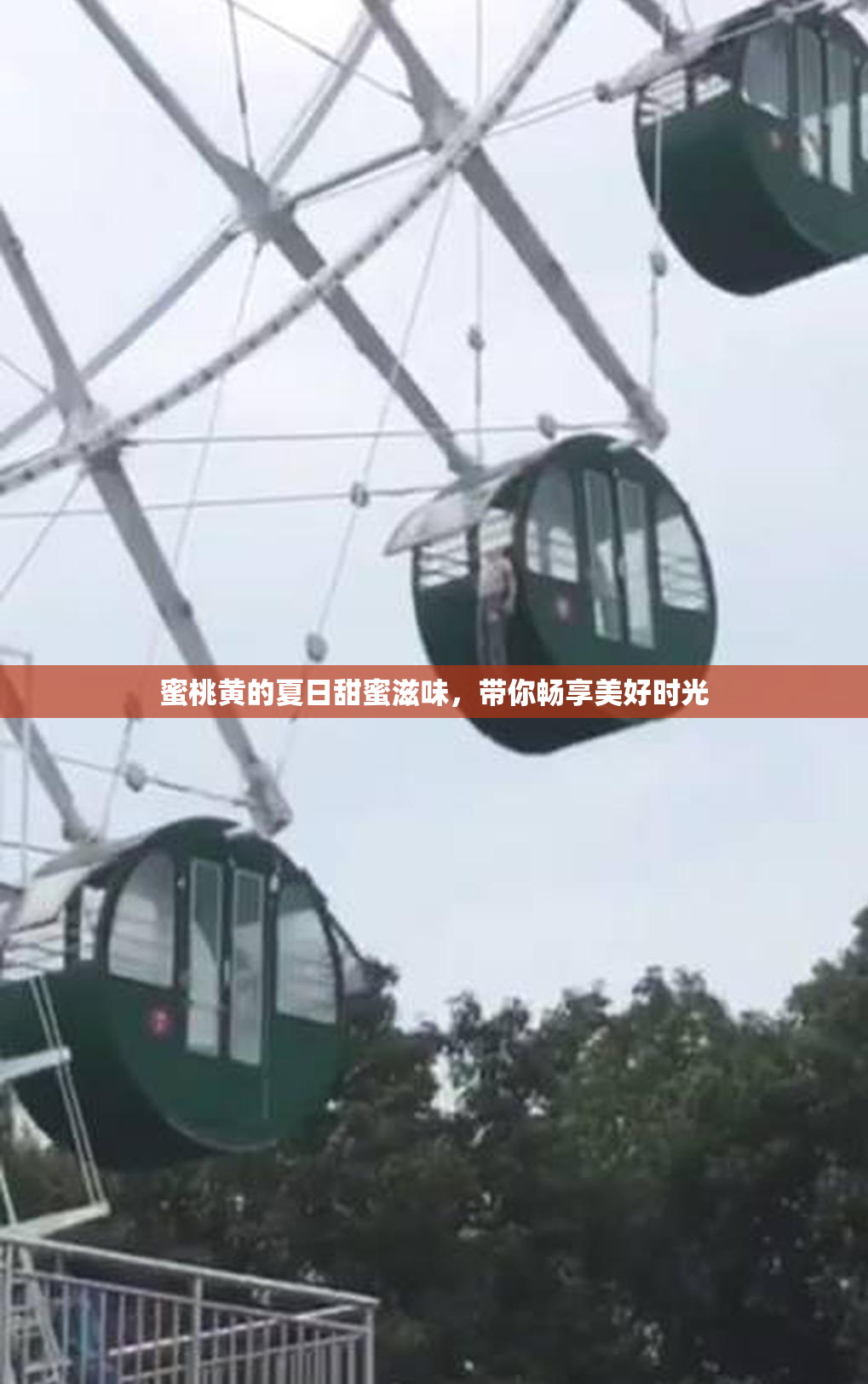 蜜桃黄的夏日甜蜜滋味，带你畅享美好时光