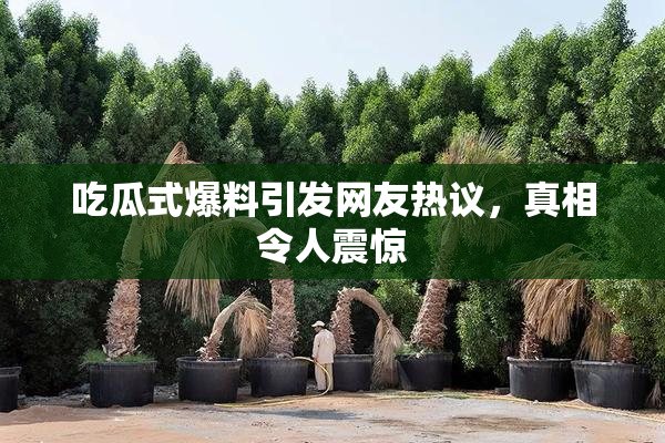 吃瓜式爆料引发网友热议，真相令人震惊