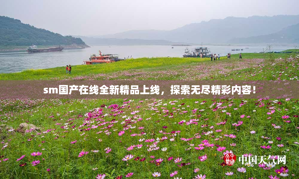 sm国产在线全新精品上线，探索无尽精彩内容！