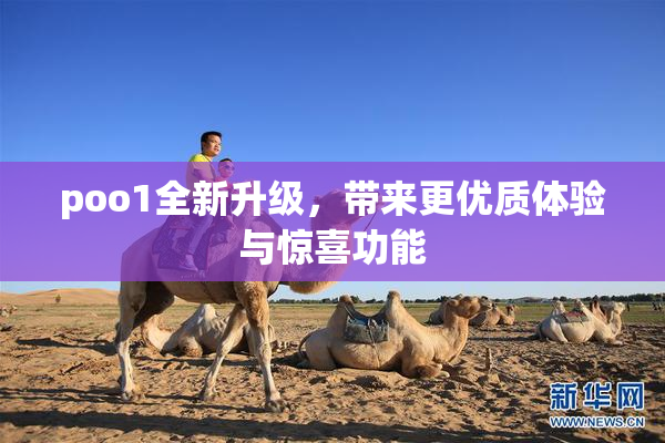 poo1全新升级，带来更优质体验与惊喜功能