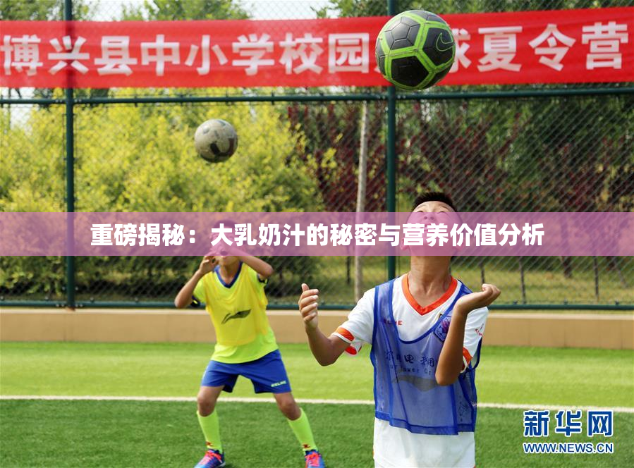 重磅揭秘：大乳奶汁的秘密与营养价值分析