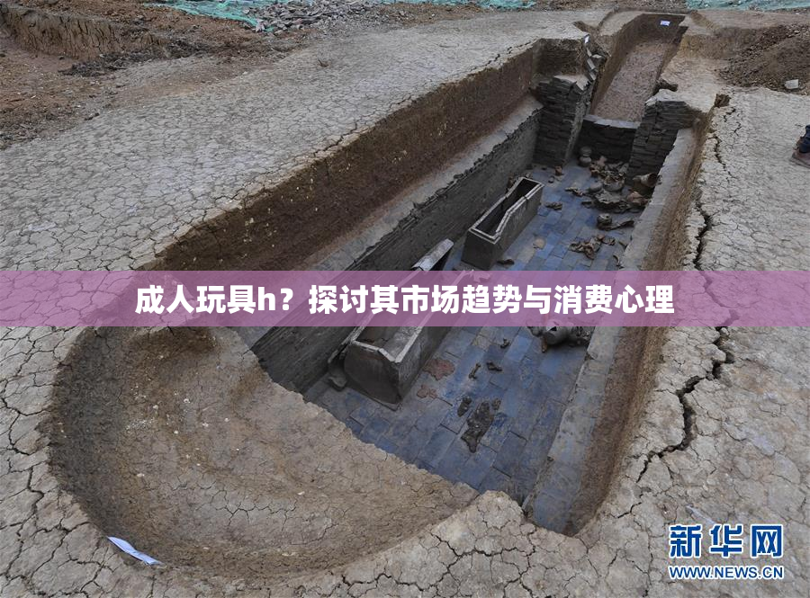 成人玩具h？探讨其市场趋势与消费心理