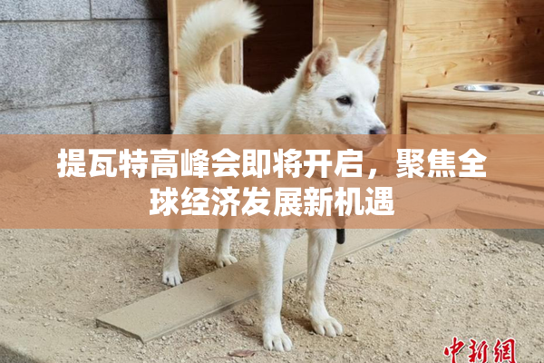 提瓦特高峰会即将开启，聚焦全球经济发展新机遇
