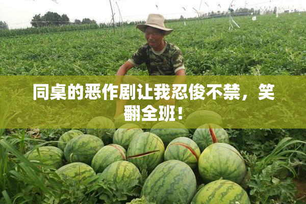 同桌的恶作剧让我忍俊不禁，笑翻全班！