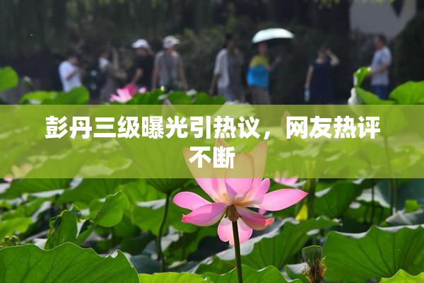 彭丹三级曝光引热议，网友热评不断