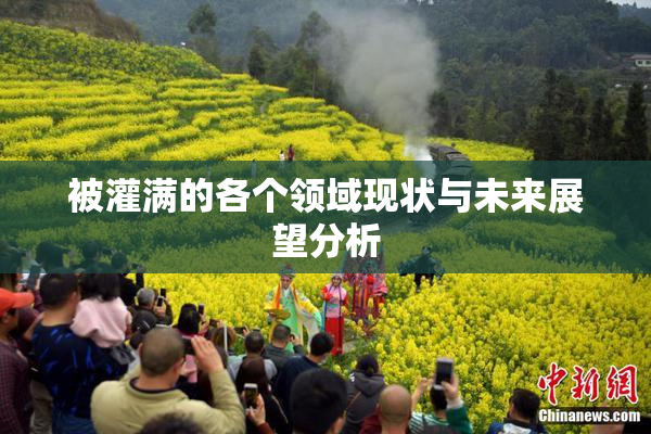被灌满的各个领域现状与未来展望分析