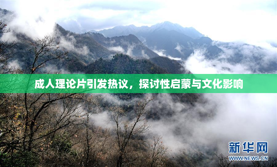 成人理论片引发热议，探讨性启蒙与文化影响