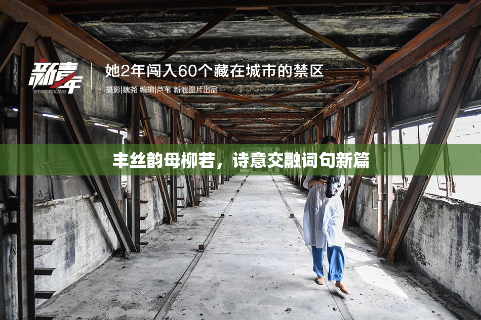 丰丝韵母柳若，诗意交融词句新篇