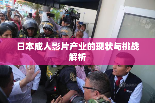 日本成人影片产业的现状与挑战解析