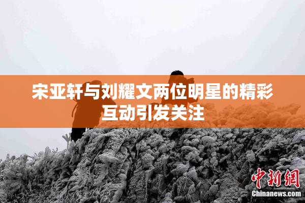 宋亚轩与刘耀文两位明星的精彩互动引发关注