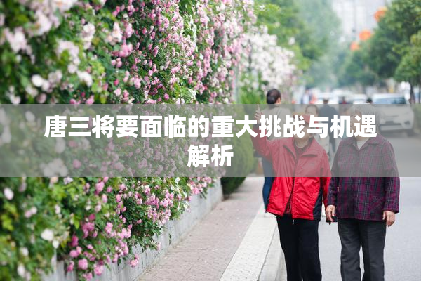 唐三将要面临的重大挑战与机遇解析
