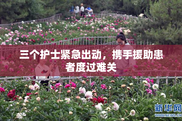 三个护士紧急出动，携手援助患者度过难关