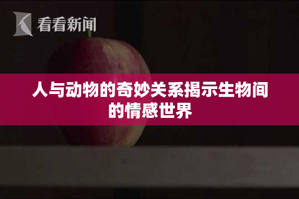 人与动物的奇妙关系揭示生物间的情感世界