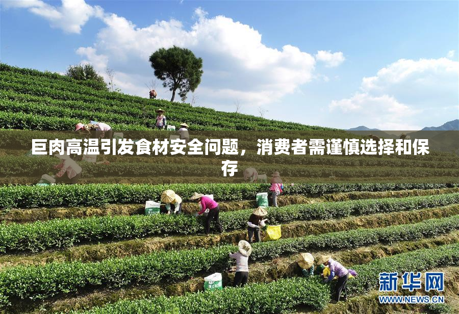 巨肉高温引发食材安全问题，消费者需谨慎选择和保存