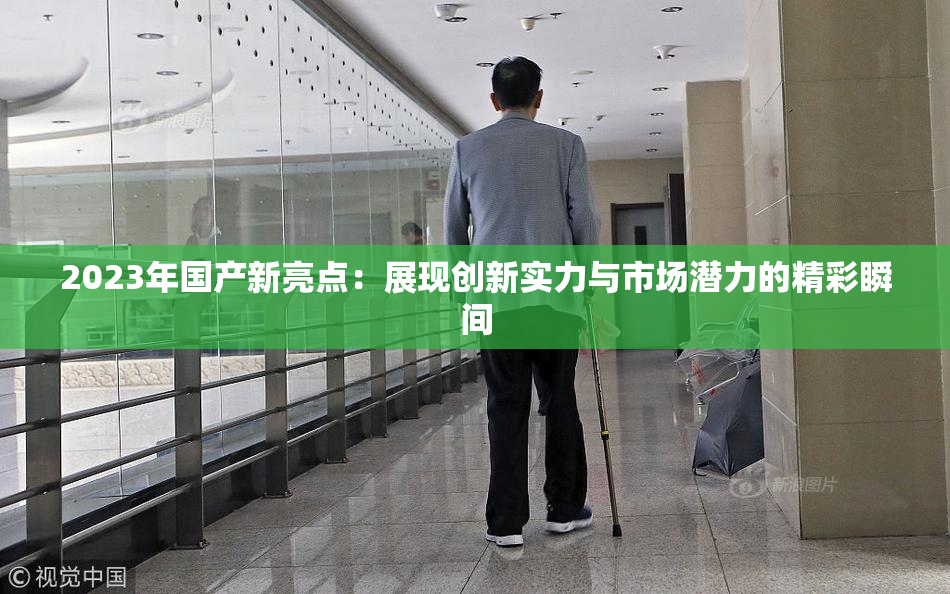 2023年国产新亮点：展现创新实力与市场潜力的精彩瞬间