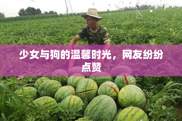 少女与狗的温馨时光，网友纷纷点赞