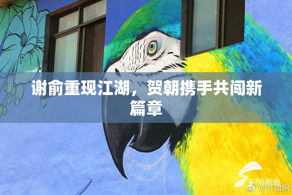 谢俞重现江湖，贺朝携手共闯新篇章
