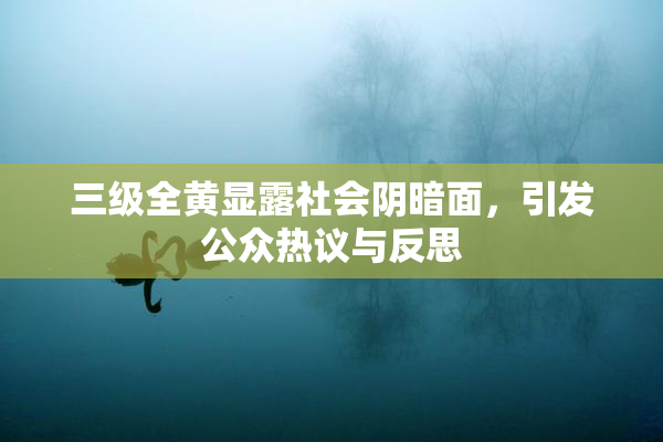三级全黄显露社会阴暗面，引发公众热议与反思