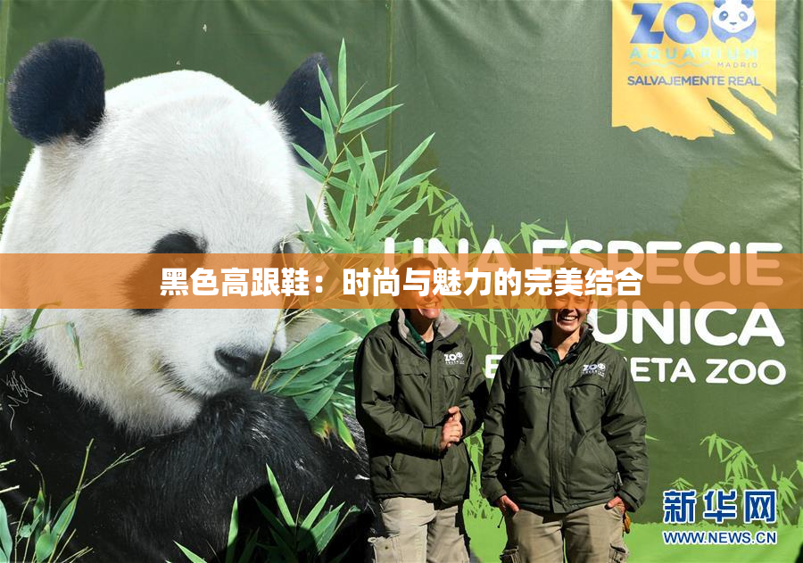 黑色高跟鞋：时尚与魅力的完美结合