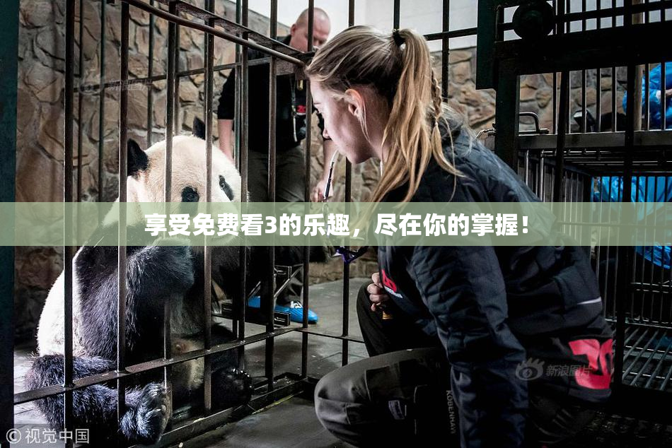享受免费看3的乐趣，尽在你的掌握！