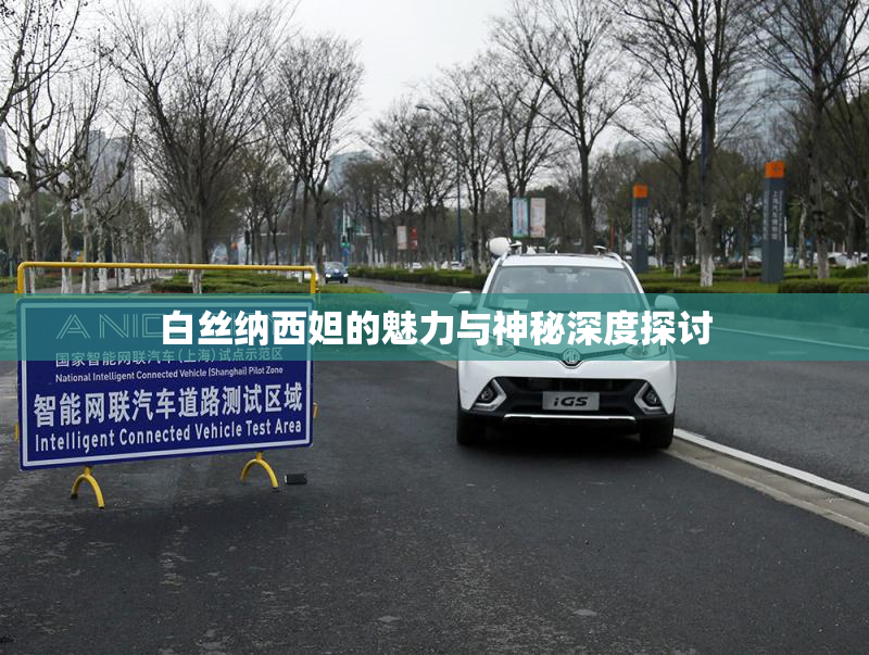 白丝纳西妲的魅力与神秘深度探讨