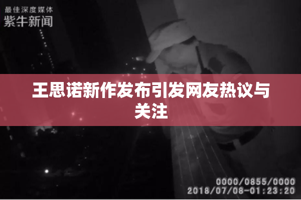 王思诺新作发布引发网友热议与关注