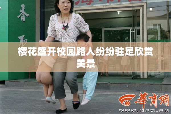 樱花盛开校园路人纷纷驻足欣赏美景