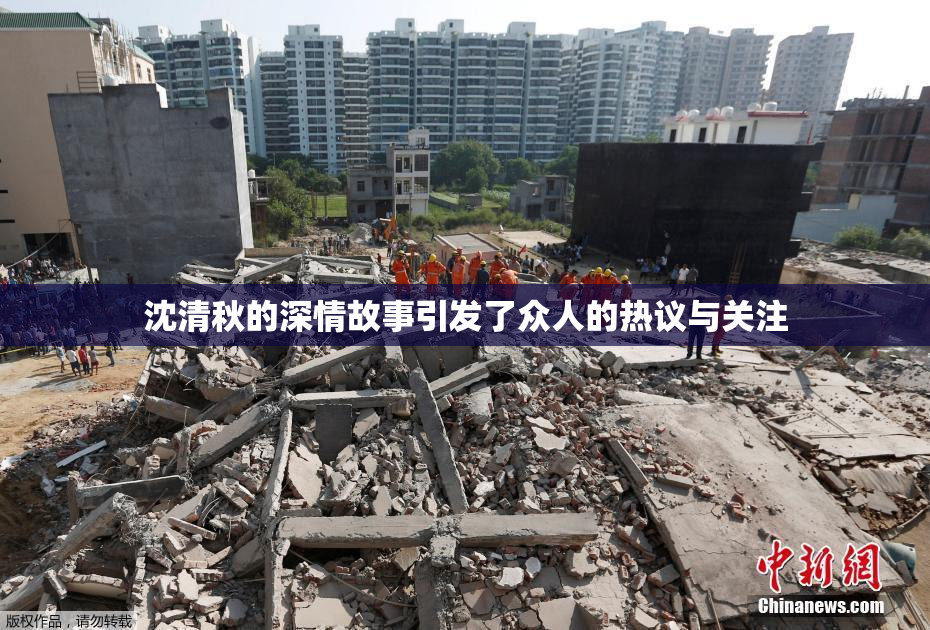 沈清秋的深情故事引发了众人的热议与关注