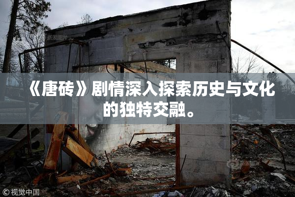 《唐砖》剧情深入探索历史与文化的独特交融。