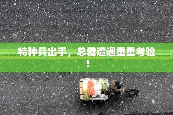 特种兵出手，总裁遭遇重重考验！