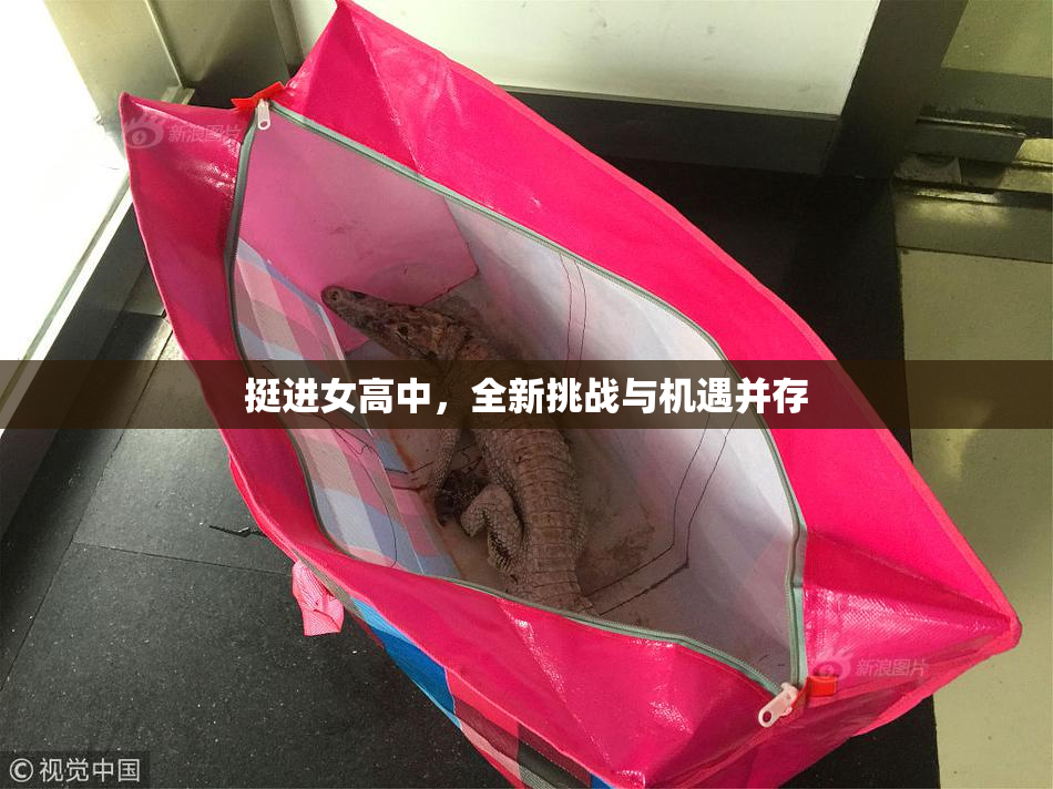 挺进女高中，全新挑战与机遇并存