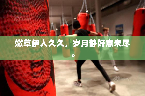 嫩草伊人久久，岁月静好意未尽。