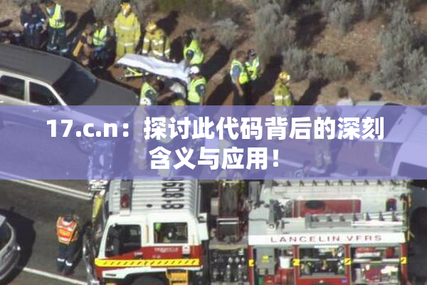 17.c.n：探讨此代码背后的深刻含义与应用！