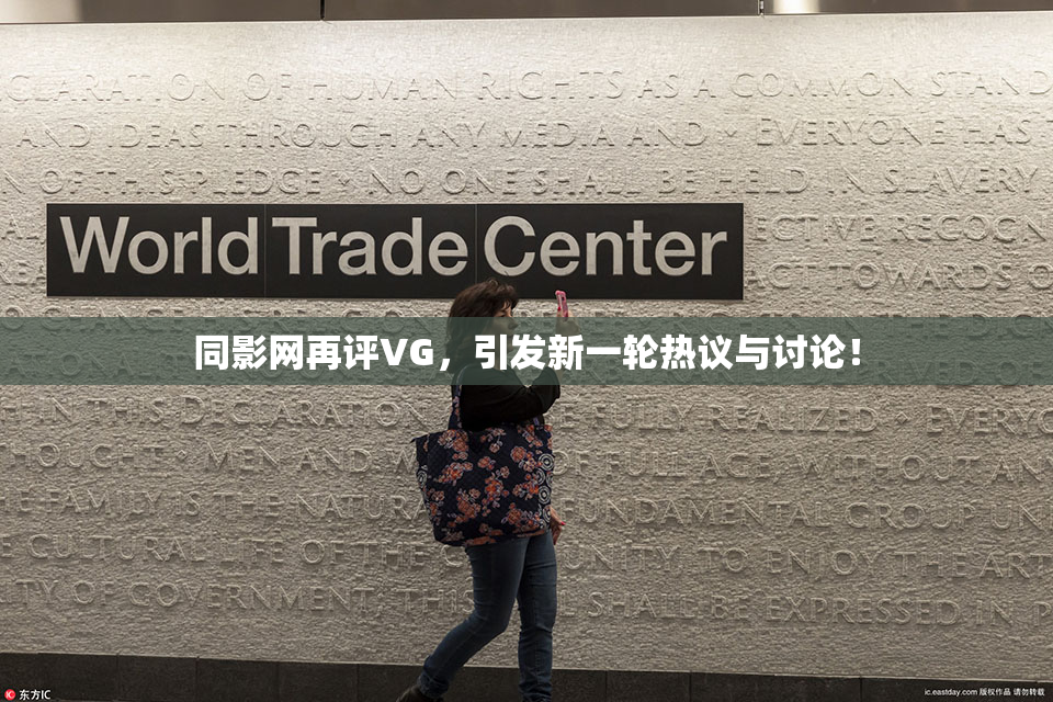 同影网再评VG，引发新一轮热议与讨论！