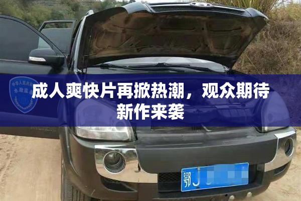 成人爽快片再掀热潮，观众期待新作来袭
