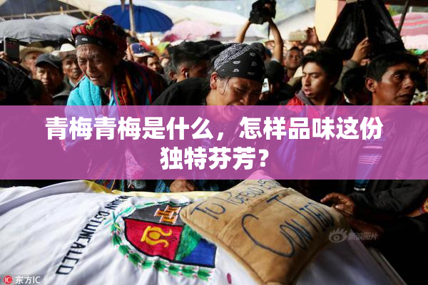 青梅青梅是什么，怎样品味这份独特芬芳？
