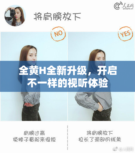 全黄H全新升级，开启不一样的视听体验
