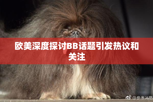 欧美深度探讨BB话题引发热议和关注
