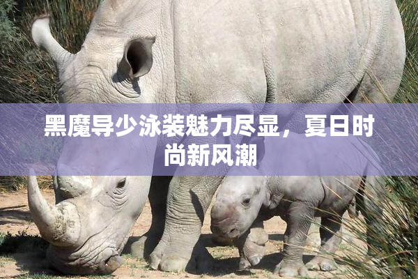 黑魔导少泳装魅力尽显，夏日时尚新风潮