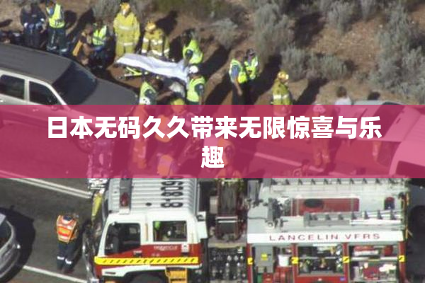 日本无码久久带来无限惊喜与乐趣