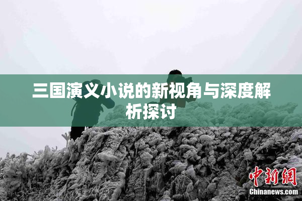 三国演义小说的新视角与深度解析探讨