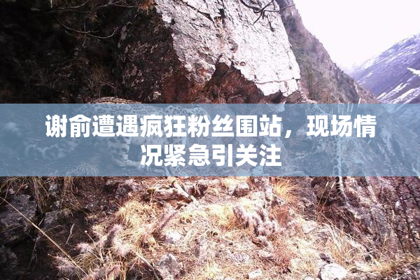 谢俞遭遇疯狂粉丝围站，现场情况紧急引关注
