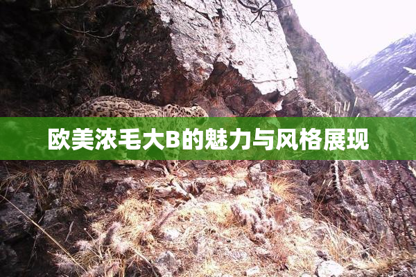 欧美浓毛大B的魅力与风格展现